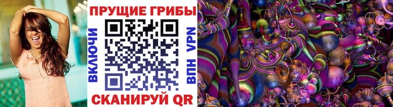 купить закладку  Тарко-Сале  Псилоцибиновые грибы Cubensis 